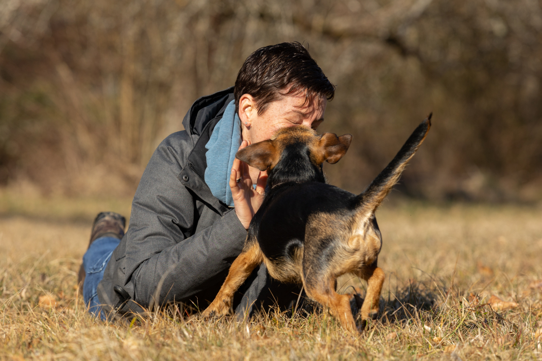 Junghunde Kurs Teil 1 